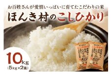 【先行予約】【令和7年産】ほんき村のこしひかり（10kg） お取り寄せ 特産 お米 精米 白米 ごはん ご飯 コメ 新米 新生活 応援 準備 10キロ 10kg 10キロ 【012_1949】