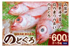 山陰浜田 香住屋の「のどぐろ」煮付け・塩焼き用（3～5尾・600g） アカムツ のどぐろ 煮付け 塩焼き 下処理済 【024_1978】