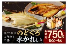山陰浜田 香住屋のこだわり干物「水かれい・のどぐろ一夜干し」 魚介類 魚 干物 一夜干し のどぐろ 水かれい セット 詰め合わせ アカムツ のどくろ ギフト 贈り物 【024_1979】