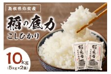 【令和6年産】浜田産「稲の底力こしひかり」10kg お取り寄せ 特産 お米 精米 白米 ごはん ご飯 コメ 新米 新生活 応援 準備 10キロ 【012_1950】