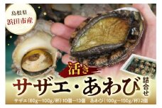 豪華サザエ・あわび詰合せ【本田商店】 海鮮 貝 ふるさと納税 サザエ あわび 鮑 詰め合わせ セット BBQ バーベキュー 【033_1775】