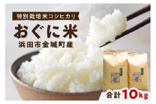 【先行予約】【令和7年産】浜田市金城町産の美味しいコシヒカリ100%【おぐに米】10kg 10キロ 米 おこめ コシヒカリ 白米 精米 特産品 ごはん お取り寄せ 小分け 【071_2065】