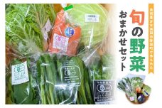 自然豊かな浜田市弥栄町で作られた「旬の野菜おまかせセット」 野菜 野菜セット 旬 詰め合わせ セット おまかせ おたのしみ ギフト 【065_0493】