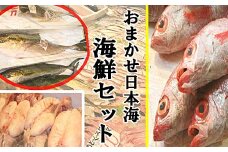 【定期便】おまかせ日本海海鮮セット（生） 12回コース 定期便 海鮮 おまかせ 12回 セット 詰め合わせ 海鮮セット 厳選 産地直送 お任せ定期便 アカムツ 【097_0726】