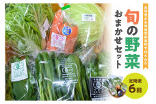 自然豊かな浜田市弥栄町で作られた「旬の野菜おまかせセット」（6回コース） 野菜 定期 6回 旬 詰め合わせ おまかせ 直送 野菜セット セット 【109_1348】
