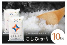 【令和6年産】弥栄町産特別栽培米「秘境奥島根弥栄」こしひかり10kg 米 お米 特別栽培米 こしひかり 10キロ 精米 白米 ごはん 新生活 応援 準備 【090_1855】