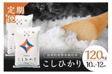 【定期便】【令和6年産】弥栄町産特別栽培米「秘境奥島根弥栄」 こしひかり10kg（12回コース） 米 お米 こしひかり 特別栽培米 精米 白米 ごはん 定期 定期便 12回 お取り寄せ 特産 新生活【090_1854】