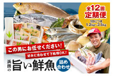 【定期便】この男、極める！～浜田の旨い鮮魚12か月毎月お届けコース～ 定期便 鮮魚 魚介類 魚貝類 お楽しみ定期便 【006_2044】