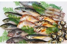山陰浜田港水揚げ季節の鮮魚セット 魚介類 魚貝類 魚 鮮魚 季節の魚 旬の魚 セット 詰め合わせ 下処理済み 【096_1694】