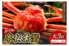 【 国産日本海の松葉蟹をボイルでお届け！ 】【先行予約】 ボイルでお届け。ボイル本松葉蟹 大3杯（タグ付き）＜12月10日～2月末までのお届け＞ カニ 魚介類 海の幸 カニ 年内配送 年末年始配送 【097_0728】