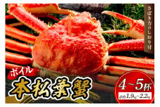 【 国産日本海の松葉蟹をボイルでお届け！ 】【先行予約】本松葉蟹 4～5杯（タグ付き）＜12月10日～2月末までのお届け＞ 国産 魚介類 魚貝類 海の幸 カニ クリスマス 年内配送 年末年始配 【097_0727】