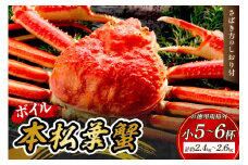 【 国産日本海の松葉蟹をボイルでお届け！ 】【先行予約】ボイル本松葉蟹 小5～6杯（規格外品タグなし）＜12月10日～2月末までのお届け＞ 国産 カニ 魚介類 魚貝類 海の幸 カニ クリスマス 年内配送 【097_0737】