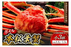 【 国産日本海の松葉蟹をボイルでお届け！ 】【先行予約】ボイルでお届け。ボイル本松葉蟹 小3杯（規格外品タグなし）＜12月10日～2月末までのお届け＞ 国産 カニ 魚介類 海の幸 年内配送 年末年始配送 【097_0738】