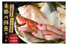 【定期便】季節の鮮魚セット年6回コース 定期便 6回 鮮魚 お任せ お取り寄せ 魚介 鮮魚 セット 下処理済み 【096_1695】