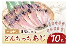 どんちっちあじ一夜干し10枚セット 魚介類 魚 干物 一夜干し あじ 鯵 セット 【136_1970】