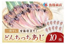 どんちっちあじ一夜干し10枚セット 魚介類 魚 干物 一夜干し あじ 鯵 セット 【136_1970】