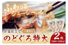 甘塩仕立て！特大のどぐろ一夜干し2枚セット 魚 干物 干もの 乾物 一夜干し のどぐろ アカムツ 甘塩 2枚 セット 【136_1971】