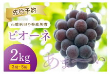 【2025年産】山陰浜田の特産果樹ピオーネ（2kg）＜8月下旬から発送開始予定＞ ふるさと納税 ぶどう ふるさと納税 ピオーネ ブドウ 葡萄 フルーツ くだもの 果物 【010_1945】