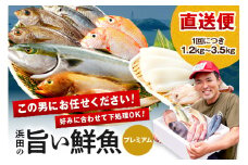 浜田のプレミアム鮮魚～この男シリーズ～ 海鮮 鮮魚 詰め合わせ セット おまかせ 人気 お取り寄せ 【006_2045】