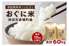 【定期便】【先行予約】【令和7年産】浜田市金城町産コシヒカリ「おぐに米」10kg定期便（6回コース） 定期便 10キロ 6回 米 お米 こしひかり 白米 特産品 お取り寄せ 精米 小分け 【071_2066】