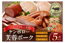 ケンボロー芙蓉ポーク浜田市産ハム・ソーセージセット5種 加工品 ハム ソーセージ セット 詰め合わせ 【002_1958】
