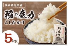【令和6年産】浜田産「稲の底力こしひかり」 5kg 米 お米 こしひかり 新生活 応援 準備 5キロ 1等米【012_1955】
