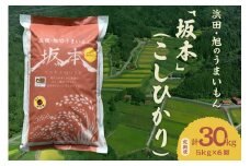 【定期便】【令和6年産】浜田・旭のうまいもん「坂本」（こしひかり）5kg×6回 米 お米 こしひかり 定期 定期便 6回 精米 白米 ごはん 新生活 応援 準備 お取り寄せ 特産 【118_1158】