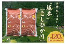 【定期便】【令和6年産】浜田・旭のうまいもん「坂本」（こしひかり）5kg×2袋×12回 米 お米 こしひかり 定期 定期便 12回 精米 白米 ごはん 新生活 応援 準備 特産 【118_1162】