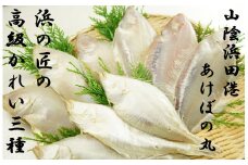 あけぼの丸と浜の匠が贈る高級かれい3種一夜干しセット 魚介類 魚 干物 干もの 一夜干し カレイ 御中元 御歳暮 ギフト 贈り物 セット 個包装 【146_2020】