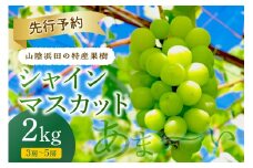 【2025年産】山陰浜田の特産果樹「シャインマスカット」2kg＜8月下旬から発送開始予定＞ 【010_1946】