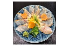 【脂乗り抜群！】のど黒炙り刺し 魚介類 魚貝類 のどぐろ 炙り刺し 刺身 おかず おつまみ 醤油付き 【087_1733】
