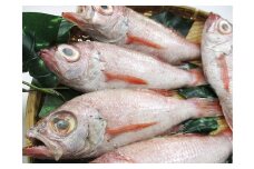 大秀商店の「のどぐろ（煮付け用）」（5尾入り） 魚介類 魚 海鮮 のどぐろ 煮つけ用 煮付け用 5尾 下処理済 冷凍 アカムツ 【038_1201】