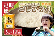 【令和6年産】【定期便】無洗米 浜田市金城町産こしひかり 5kg×12回コース 定期便 12回 定期便 お取り寄せ 特産 特産品 お米 精米 白米 玄米 ごはん ご飯 一等米 こしひかり コシヒカリ 【058_1820】