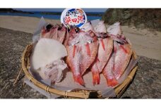 しまね浜田の美味しいのどぐろ あじ カレイ 白いか 一夜干しセット 魚介類 魚貝類 魚 干物 干もの 一夜干し おかず つまみ セット 詰め合わせ アカムツ【161_1707】