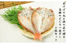 山陰浜田港あけぼの丸と浜の匠の贈る高級のどぐろ一夜干し2枚セット 魚 魚介類 のどぐろ アカムツ 干物 干もの 一夜干し 【146_2025】