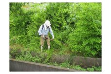 浜田市シルバー人材センター 3,000円分サービス 草刈り 掃除 相談 お手伝い 帰省 代行 【134_1524】
