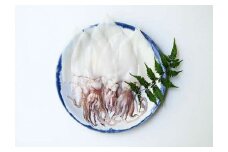 山陰浜田極味 シロイカ（ケンサキイカ）一夜干し5枚入り イカ 烏賊 白いか 剣先イカ 干物 一夜干し【164_1826】