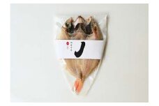 山陰浜田極味 のどぐろ一夜干し（特大）1枚入り 干物 干もの 一夜干し のどぐろ アカムツ 冷凍 干物 お取り寄せ グルメ レシピ付き 【164_1828】