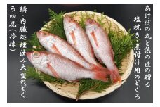山陰浜田港あけぼの丸の塩焼き・煮付け用大型のどぐろセット（冷凍）のどくろ アカムツ 【146_2028】