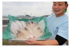 創業令和3年！何十年ぶりに浜田で鮮魚店誕生◎気合の入ったこだわり干物◎ 魚介 干物 ひもの 一夜干し おかず おつまみ 詰め合わせ セット 厳選 ギフト こだわり 干物 【171_1638】