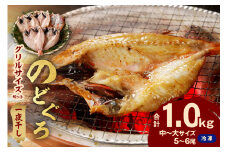 のどぐろ専門店シーライフ シーライフ のどぐろ一夜干し5～6枚で計1.0kg「グリルサイズセット」 アカムツ 魚 干物 干もの 一夜干し 手頃 小分け 個包装 産地直送 のどぐろ 人気 贈答 ギフト プレゼント 贈り物 【005_0115】