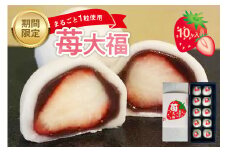 【期間限定】創業明治34年 山陰浜田老舗菓子舗 苺大福 和菓子 スイーツ デザート 期間限定 お茶請け お茶うけ 菓子 贈答 プレゼント ギフト 贈り物 バレンタイン ホワイトデー 【086_1828】