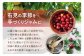 写真のジャムの種類は一例です。季節によって変わります。