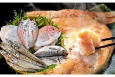 お手軽干物セット のどぐろ 鯛 いか 沖ギス あじ 魚介類 魚貝類 魚 干物 一夜干し セット 詰め合わせ アカムツ 【020_1697】