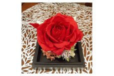 浜田産の大輪のバラのプリザーブドフラワーアレンジ「一輪」 花 プリザーブドフラワー アーティシャルフラワー フラワーアレンジ 薔薇 アジサイ 贈り物 ギフト インテリア 【107_1823】