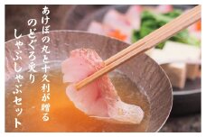 【TV番組で紹介されました！】あけぼの丸と老舗料亭「十久利」が贈るのどぐろ炙りしゃぶしゃぶセット 魚介類 魚貝類 魚 のどぐろ アカムツ しゃぶしゃぶ セット 炙り 料亭の味 老舗 【146_2031】