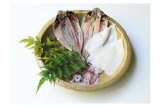 山陰浜田極味 どんちっちアジ・シロイカ一夜干しセット 各2枚 魚介類 魚貝類 あじ どんちっちアジ イカ しろいか 一夜干し 干物 セット 詰め合わせ 真空包装 個包装 【164_1836】