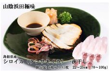 山陰浜田極味 訳あり シロイカ（ケンサキイカ）一夜干し 6枚 一夜干し 干物 ひもの いか 剣先いか 真いか 白いか 真空 冷凍 干物 【164_1835】