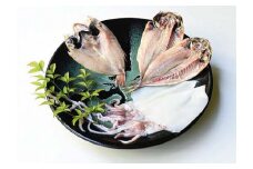 山陰浜田極味 三種一夜干し（のどぐろ1枚、アジ2枚、イカ2枚） 魚介類 魚貝類 魚 のどぐろ アカムツ アジ いか 剣先イカ 一夜干し 干物 セット 詰め合わせ 【164_1838】
