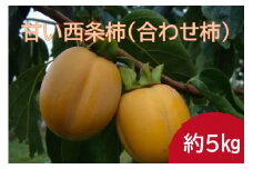 【先行予約】山陰浜田市 甘い西条柿（合わせ柿）生食用約5kg＜10月下旬より発送＞ 柿 かき フルーツ 先行予約【113_2062】